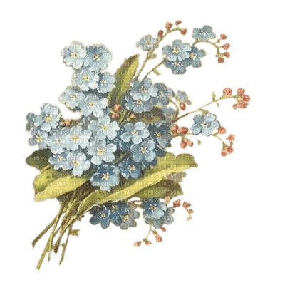 flores azules vintage  dubravka4 - безплатен png