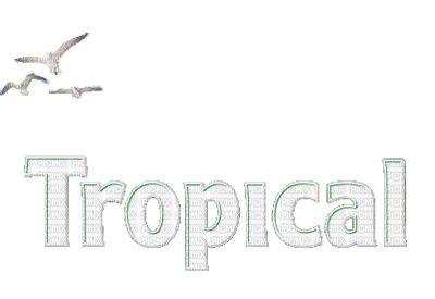 Tropical.text.Victoriabea - 免费PNG
