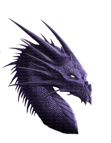 dragon - nemokama png