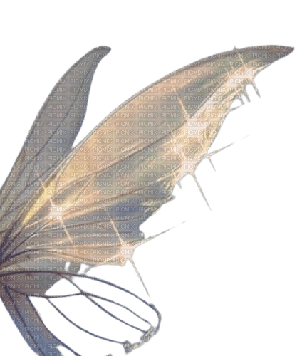 fairy wings - bezmaksas png