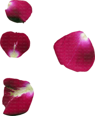 Kaz_Creations Deco Flower Petals  Colours - 免费PNG