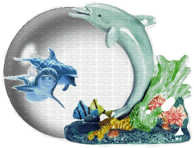 dolphins bp - Бесплатный анимированный гифка