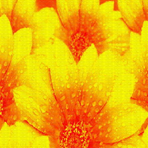 DI/BG/anim.spring.flowers.yellow.idca - Kostenlose animierte GIFs