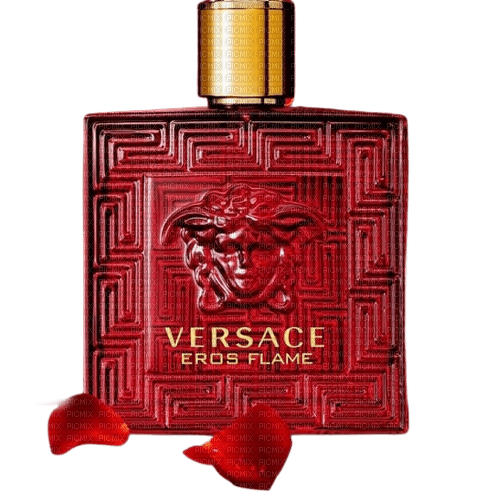 Perfume Versace Man - Bogusia - gratis png