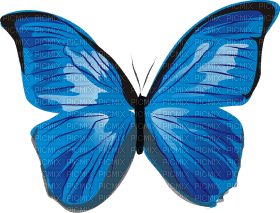 Kaz_Creations Butterfly - ücretsiz png