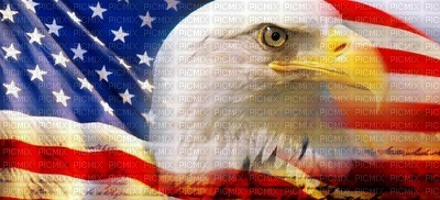 USA Flag - darmowe png