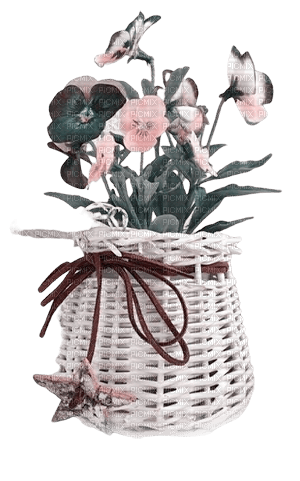 kikkapink vase flowers deco png - 無料png