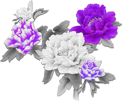 soave deco flowers branch oriental spring - PNG gratuit