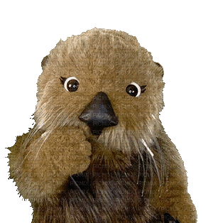 Sea Otter Kiss - GIF animé gratuit