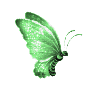 Y.A.M._Fantasy butterfly green - Gratis animerad GIF
