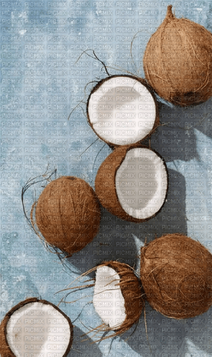 Coconut - By StormGalaxy05 - png gratis