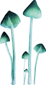 champignon.Cheyenne63 - png grátis