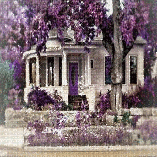 purple milla1959 - Gratis animeret GIF