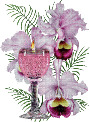 ani--deco-rosa-blomma-ljus - Безплатен анимиран GIF
