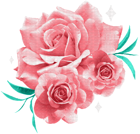 Roses - GIF animado grátis