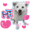 HI DOG GREETING GIF HEARTS - Бесплатный анимированный гифка