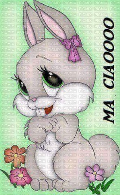 coniglietta   rabbit girl - nemokama png