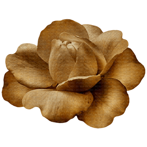 kikkapink deco scrap brown flower - kostenlos png