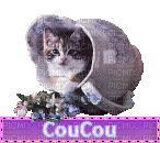 coucou chaton - Gratis animeret GIF