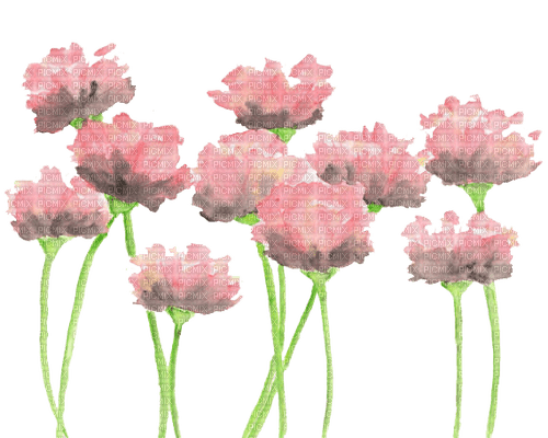 pink flowers Bb2 - kostenlos png