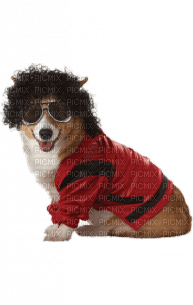 Kaz_Creations Dog Pup Dogs 🐶Costume - Free PNG