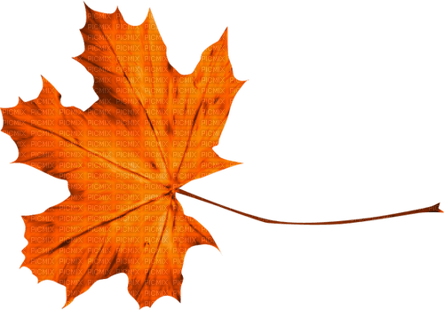 Leaf.Orange - besplatni png