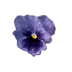 lila-flower6 - PNG gratuit