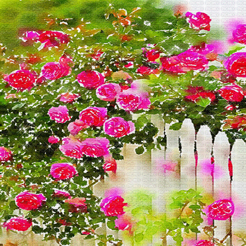 kikkapink background spring garden gif fond - Gratis animeret GIF