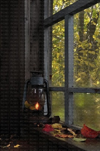Window.Fenêtre.Autumn.Automne.Victoriabea - png ฟรี