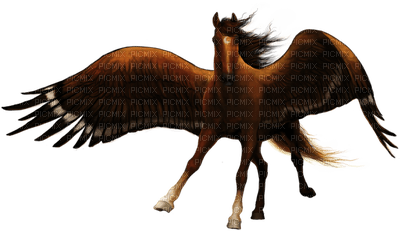 pegasus horse pferd cheval animal animals tier tube fire feu feuer fantasy fantasie brown Pégase - nemokama png