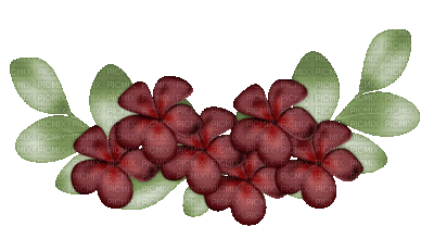 fleurs ( - Безплатен анимиран GIF