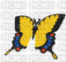 Papillon ** - Zdarma animovaný GIF
