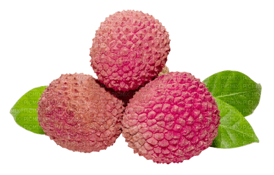 fruit lychee bp - PNG gratuit