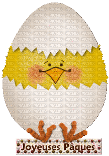 text easter ostern Pâques paques  deco tube gif anime animated eggs eier œufs egg küken chick poussin duck ente - 無料のアニメーション GIF