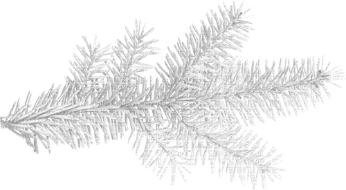 winter deco by nataliplus - δωρεάν png