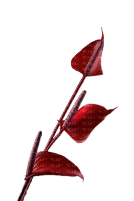 fleur rouge.Cheyenne63 - ücretsiz png