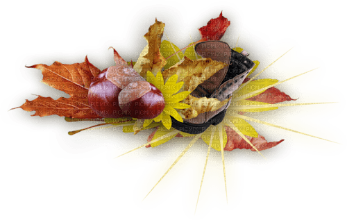 Herbstblätter, Kastanien, Deko - безплатен png