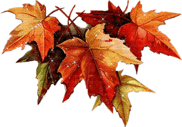 autumn leaves Bb2 - Gratis animeret GIF