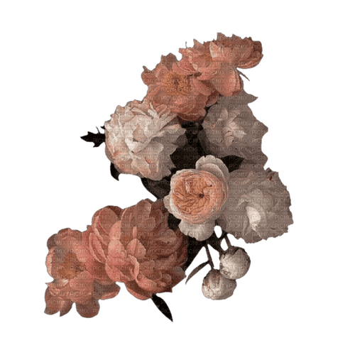 Roses ♫{By iskra.filcheva}♫ - ilmainen png