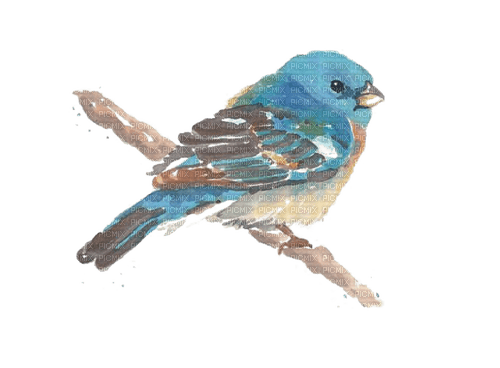 Bird.Oiseau.Aquarelle.Blue.Victoriabea - PNG gratuit