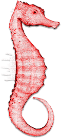 soave deco seahorse underwater summer scrap pink - 無料png
