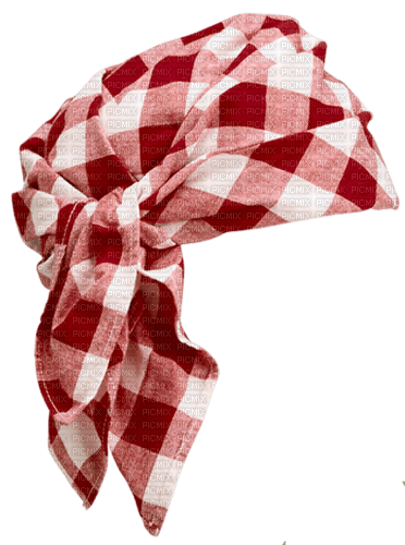 Winter hat. scarf hat. Red.  Leila - ücretsiz png