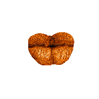 Lip, Lips, Glitter, Deco, Decoration, Orange - Jitter.Bug.Girl - GIF animado gratis