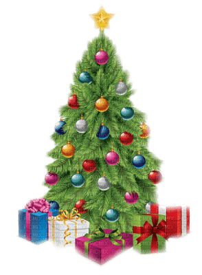 christmas noel tree arbre fir - png gratis