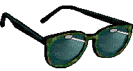 lunette - 免费动画 GIF