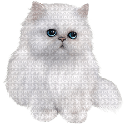 patricia87 chat - 免费PNG