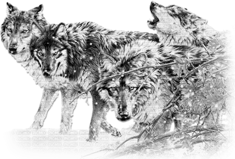 soave winter animals wolf  deco  black white - δωρεάν png