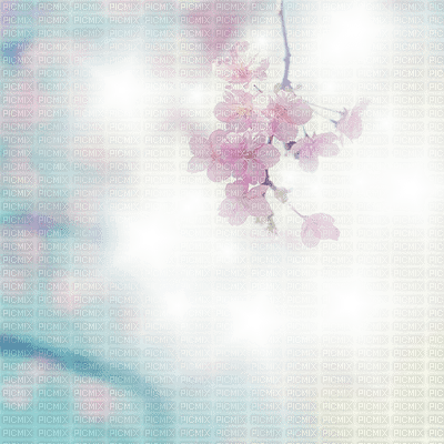 spring printemps fond background hintergrund overlay tube flower fleur blossoms white image - PNG gratuit