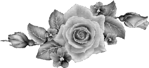 Roses - GIF animasi gratis