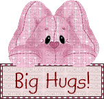 big hugs - Gratis geanimeerde GIF